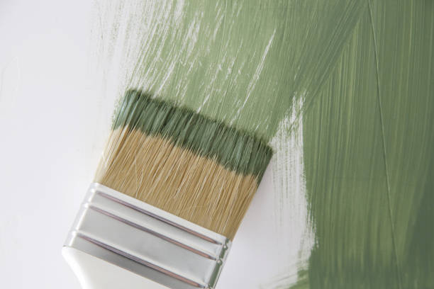 Best Environmental Consulting for Mold Prevention  in Signal Hill, CA