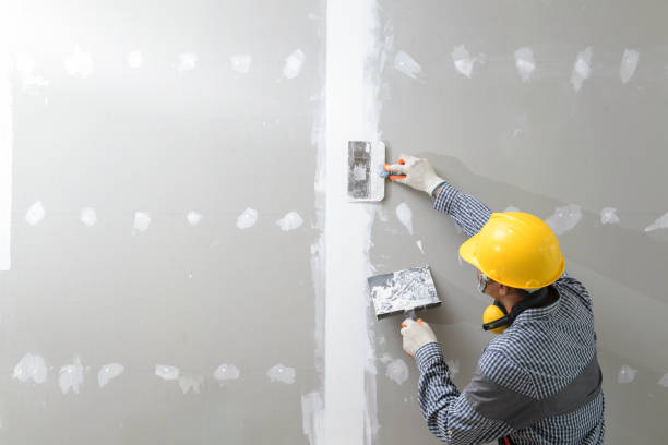 Best Crawl Space Mold Remediation  in Signal Hill, CA