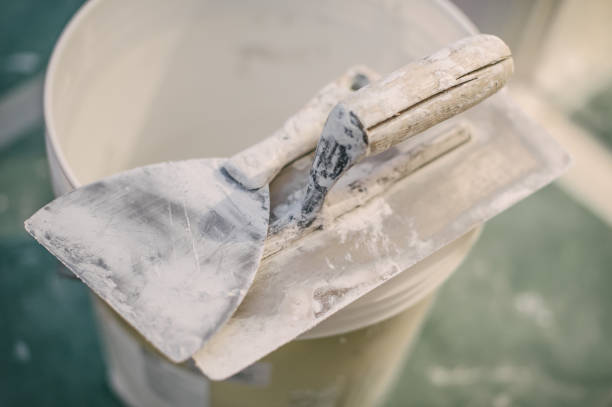 Best Attic Mold Removal  in Signal Hill, CA
